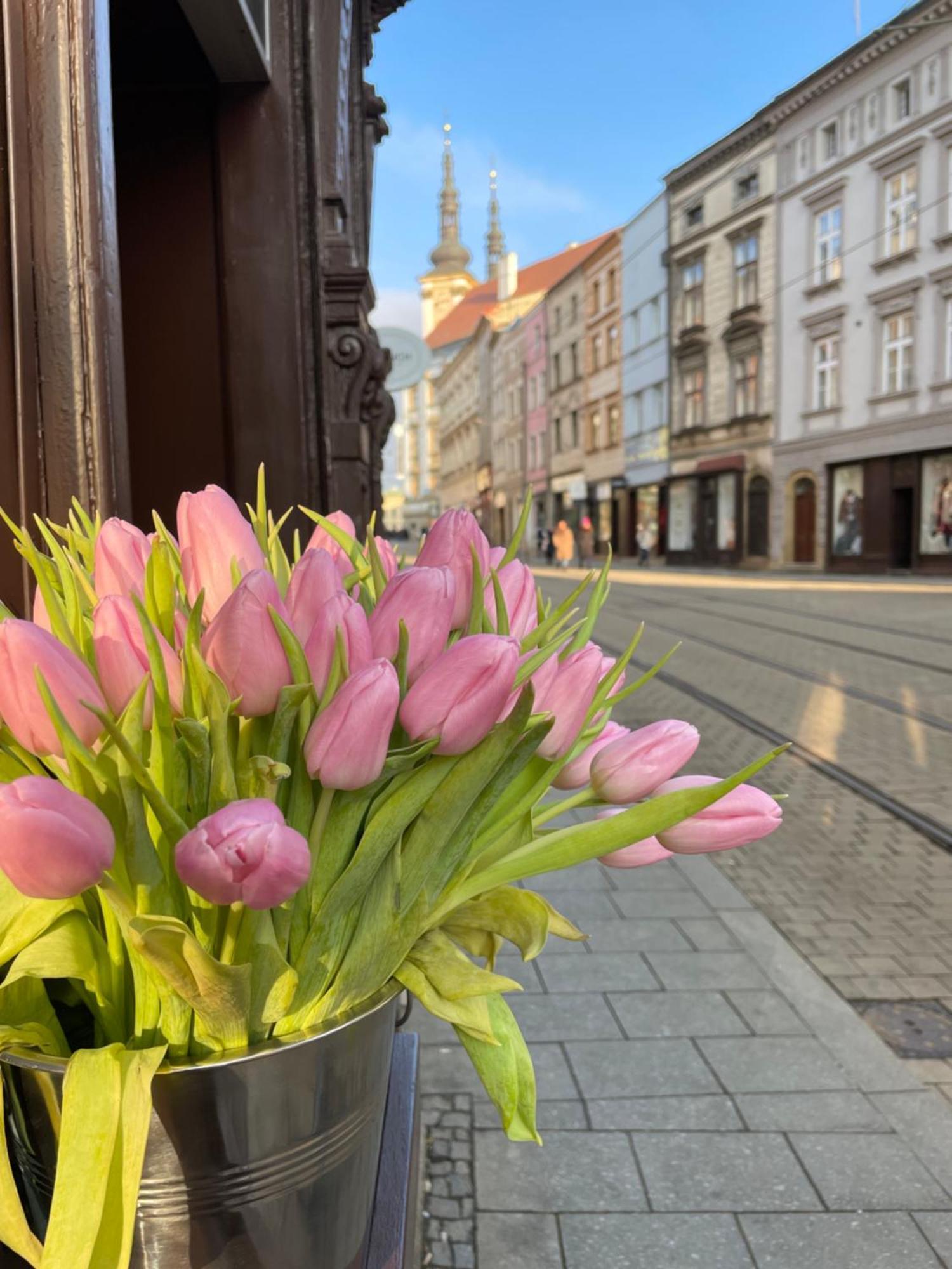 Pension Moravia Olomouc Exterior foto